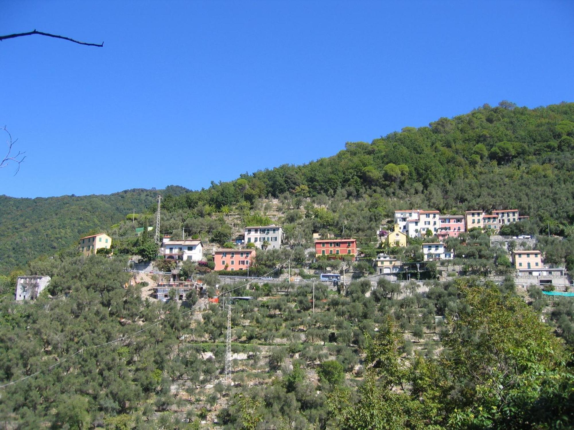 Affittacamere Cerisola 2003 زواليي المظهر الخارجي الصورة