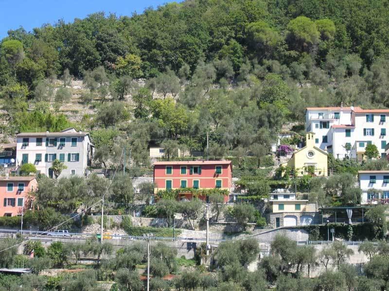 Affittacamere Cerisola 2003 زواليي المظهر الخارجي الصورة